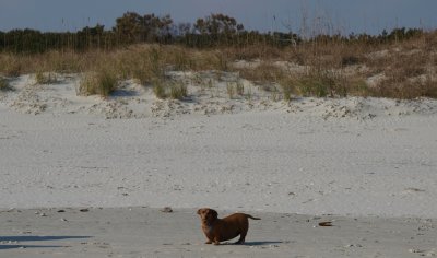 Huntington0024.jpg