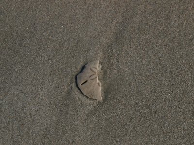 Huntington0026.jpg