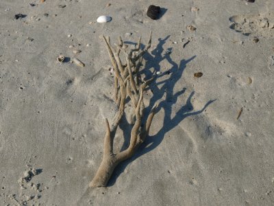 Huntington0037.jpg
