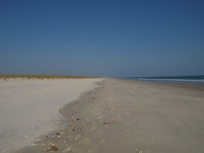 Huntington0040.jpg