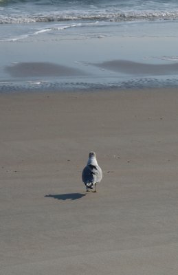 Huntington0041.jpg