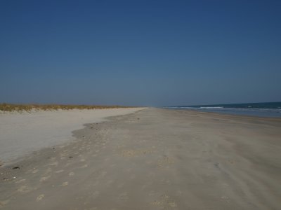 Huntington0042.jpg