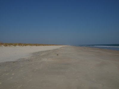 Huntington0043.jpg