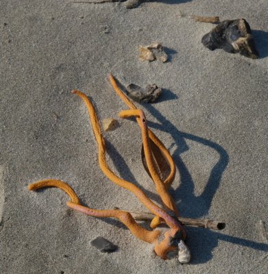 Huntington0044.jpg