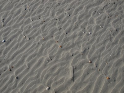 Huntington0047.jpg