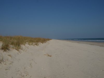 Huntington0048.jpg