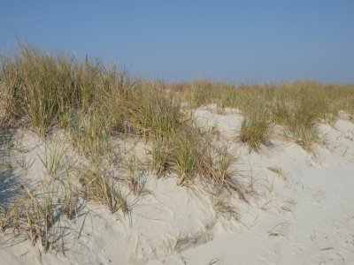 Huntington0049.jpg