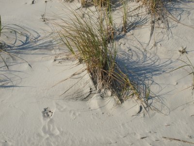 Huntington0050.jpg
