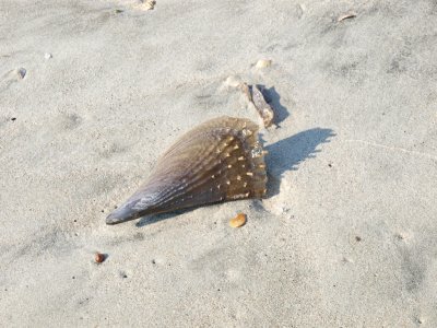 Huntington0053.jpg