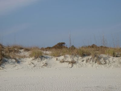 Huntington0057.jpg