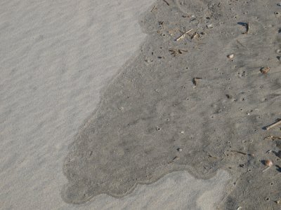Huntington0059.jpg