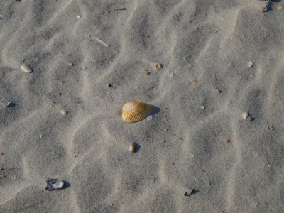 Huntington0060.jpg