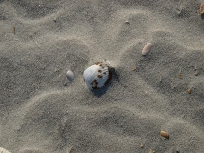 Huntington0062.jpg