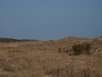 Huntington0063.jpg