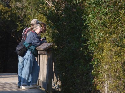 Huntington0064.jpg