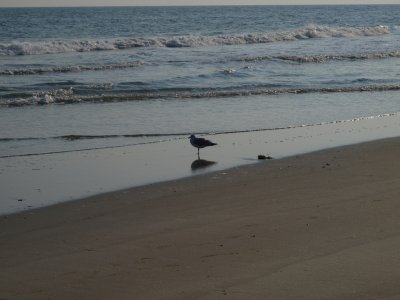 Huntington0076.jpg