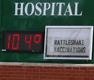 Rattlesnake Vaccinations