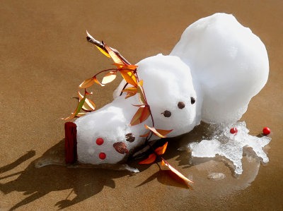Death of a Snowman
