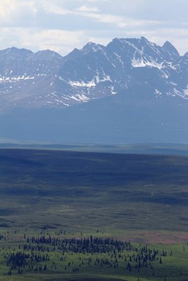 Denali Highway