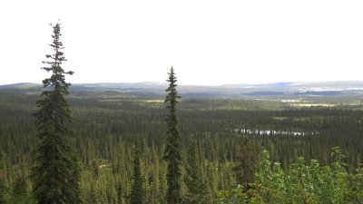 Denali Highway