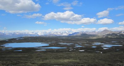 Denali Highway