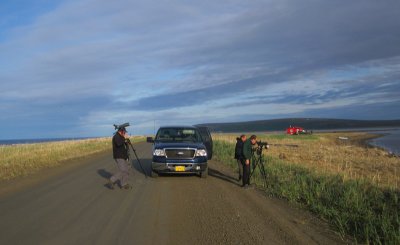 Birding near Nome