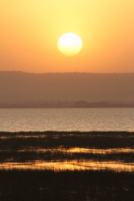 Lake Awassa