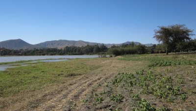 Koka Lake