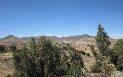 Bale Mountains