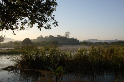Wetlands with Guapi Assu Bird Lodge in the background