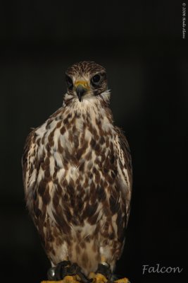 IMG_0503.jpg