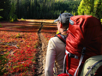 1Trail to Upper Lake.jpg