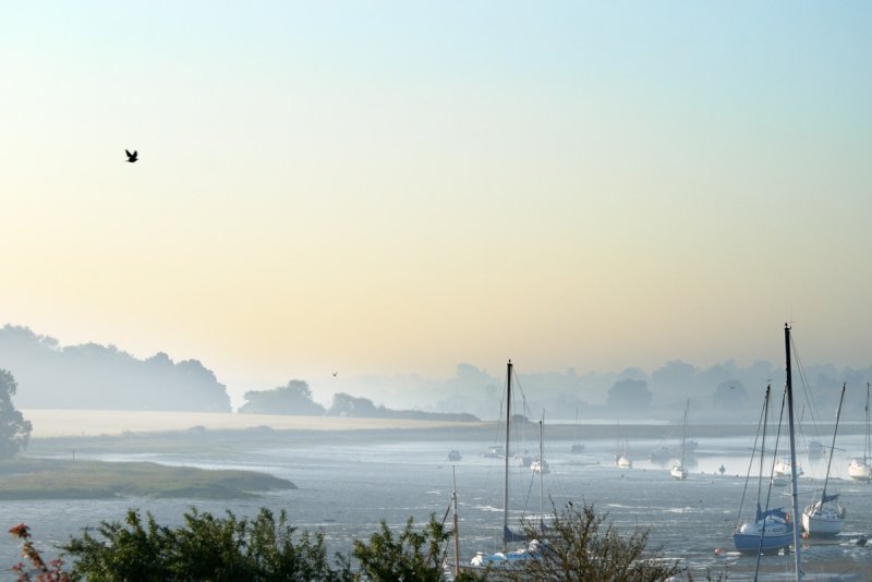 Deben morning