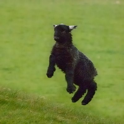 fully airborne!