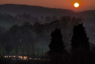 slightly chewed sunset