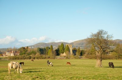 the church, Park farm and the meadow