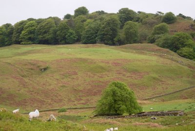 sheepfold above Stockavulin