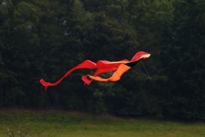 kite day at Berrington Hall