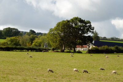 Stonehayes Farm