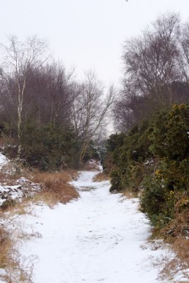 winter walk at walberswick 4