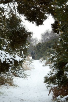 winter walk at Walberswick 1