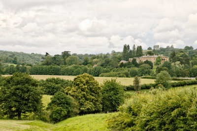 Whitbourne Hall...and a few more trees