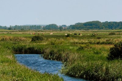 Overy Marshes