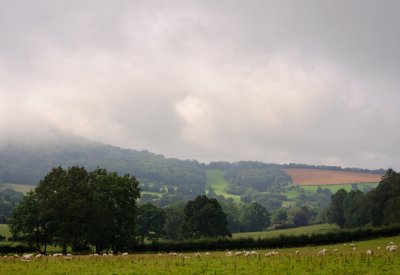 g4/34/725834/3/145547101.hOdF0U4N.jpg