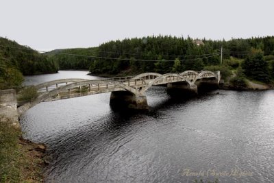    Avalon peninsula