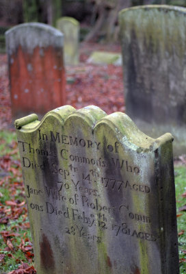 g4/34/746134/3/91188661.ZFMlWanG.jpg