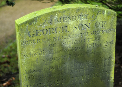 g4/34/746134/3/91189176.GmkwrohX.jpg