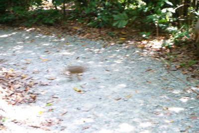P1010170.jpg