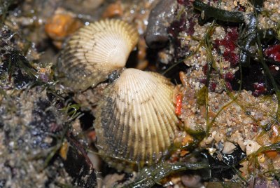 DSC_8566.jpg