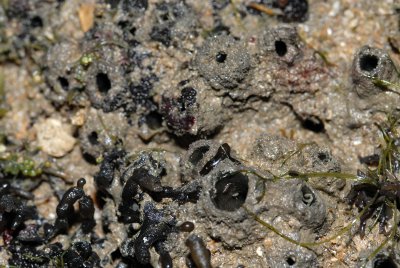 DSC_8567.jpg